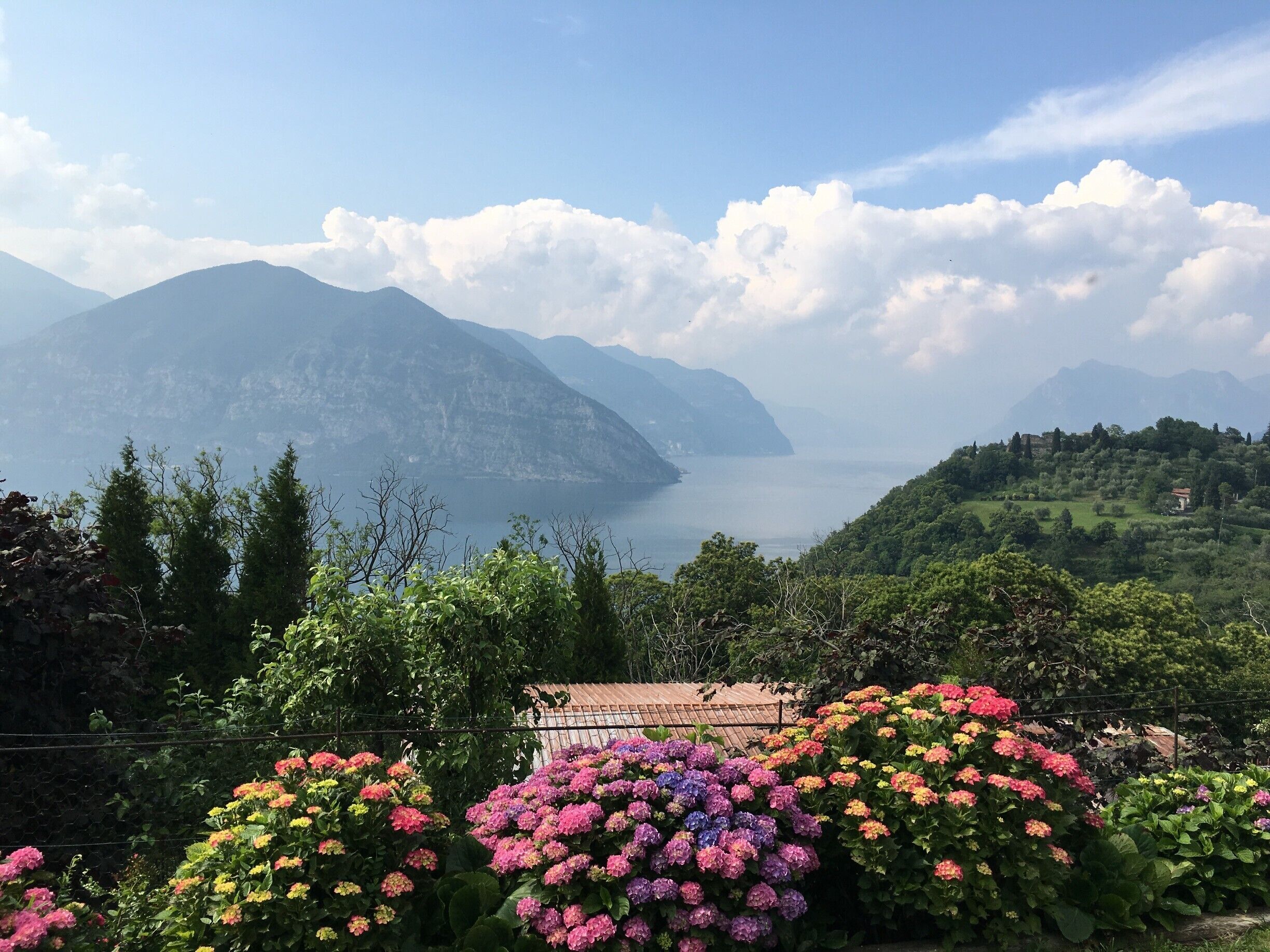 Don't miss out on visiting the small winery at the top of this hill for the best view! #LifeatExpedia