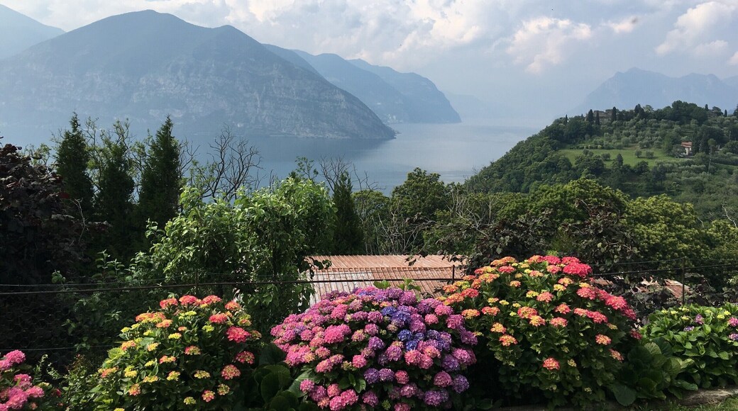 Don't miss out on visiting the small winery at the top of this hill for the best view! #LifeatExpedia
