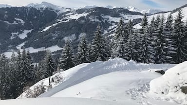 Boarding & alpine air