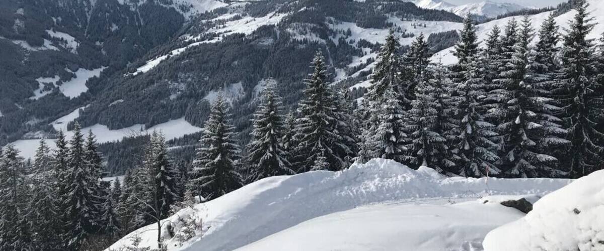 A snowy mountain landscape with evergreen trees and distant snow-capped peaks.