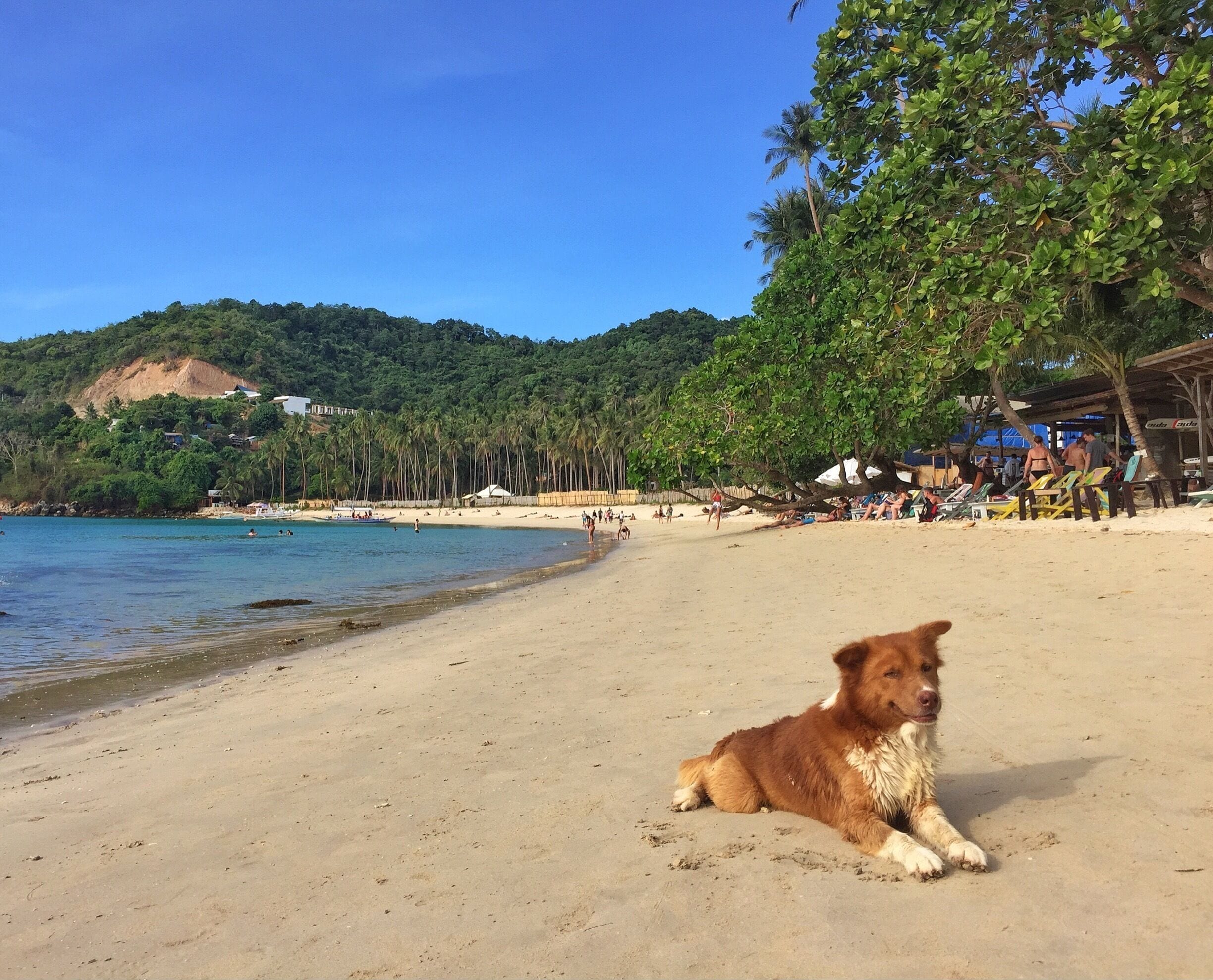 Full moon parties are very famous on Las Cabanas Beach. It is also fun place for the little friend at day time. #LifeAtExpedia