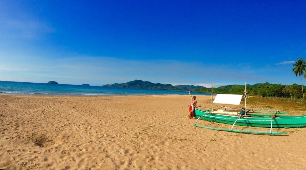 Stunning isolate beach at 2 hours drive from el nido.it worths the ride!