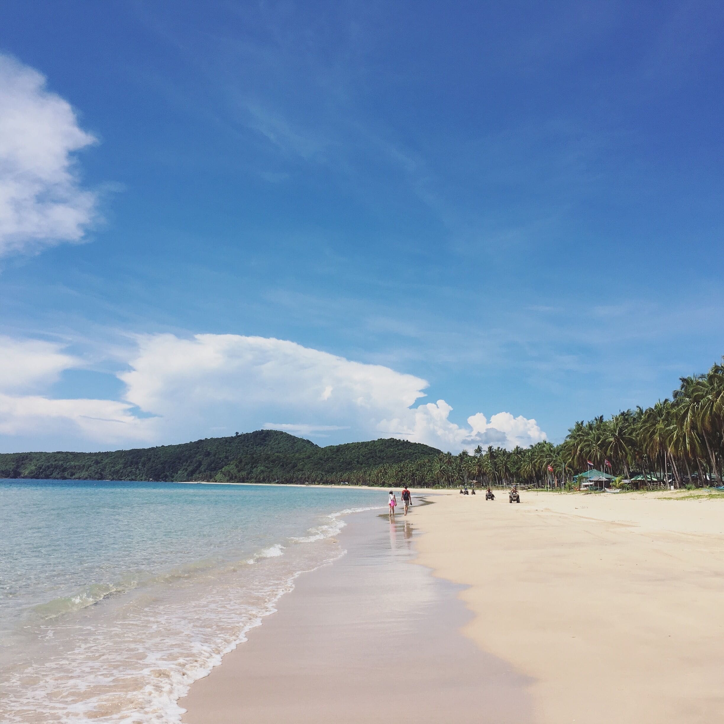 A beach with clear blue water, a sandy shore, and palm trees.