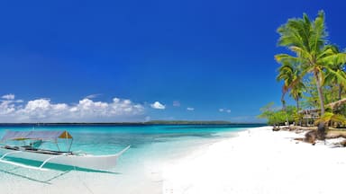 tropical solitude, Shutterstock ID 90587404, Purchase Order: -