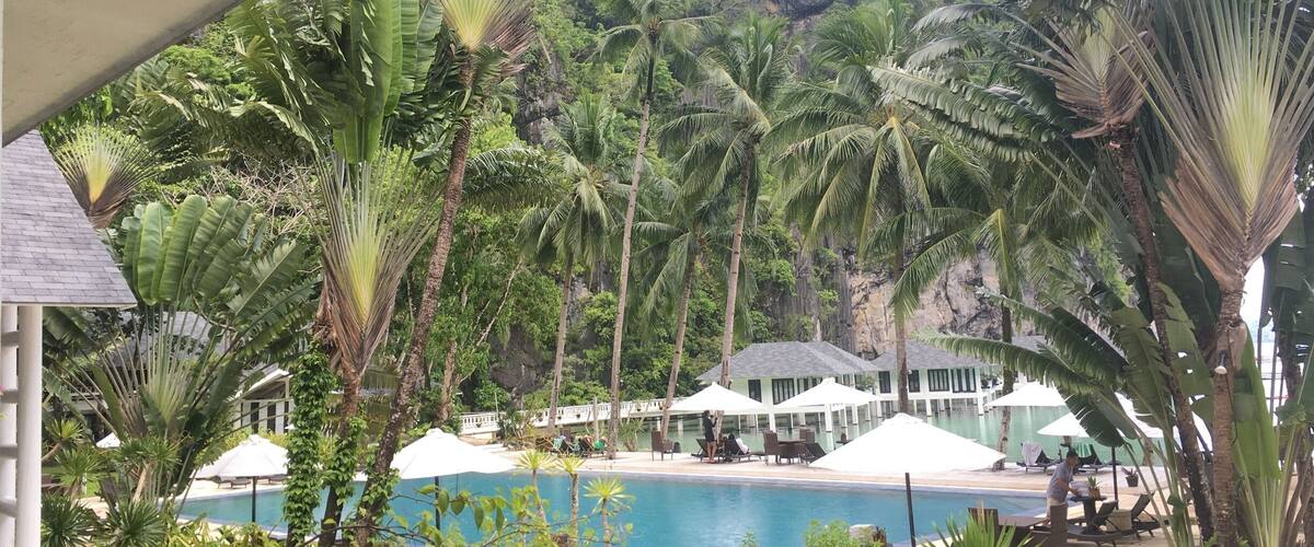 A poolside area with palm trees, lounge chairs, and umbrellas.