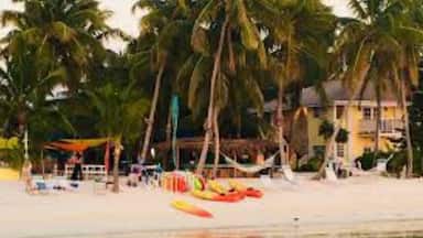 A beach with palm trees, a swimming pool, and colorful kayaks.