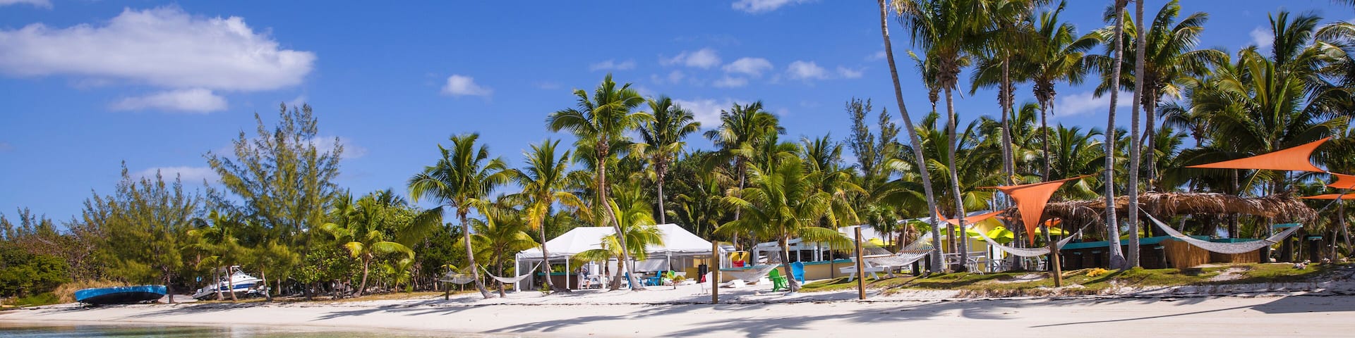A beach with clear turquoise water, palm trees, and beach huts.