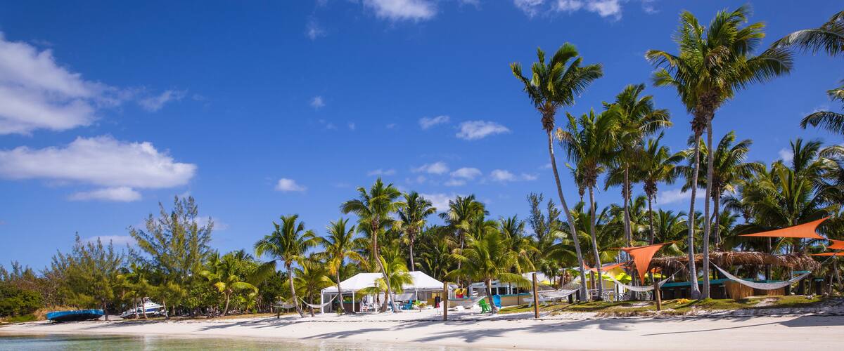 A beach with clear turquoise water, palm trees, and beach huts.
