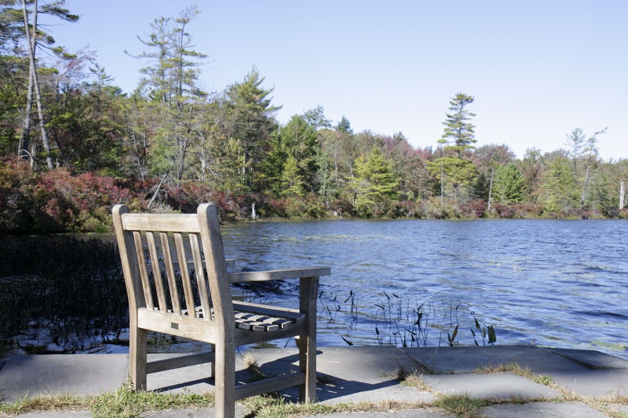 AJ7C5J Pennsylvania Pocono Mountains Lake Ariel Lacawac Sanctuary Lake Lacawac nature preserve glacial chair