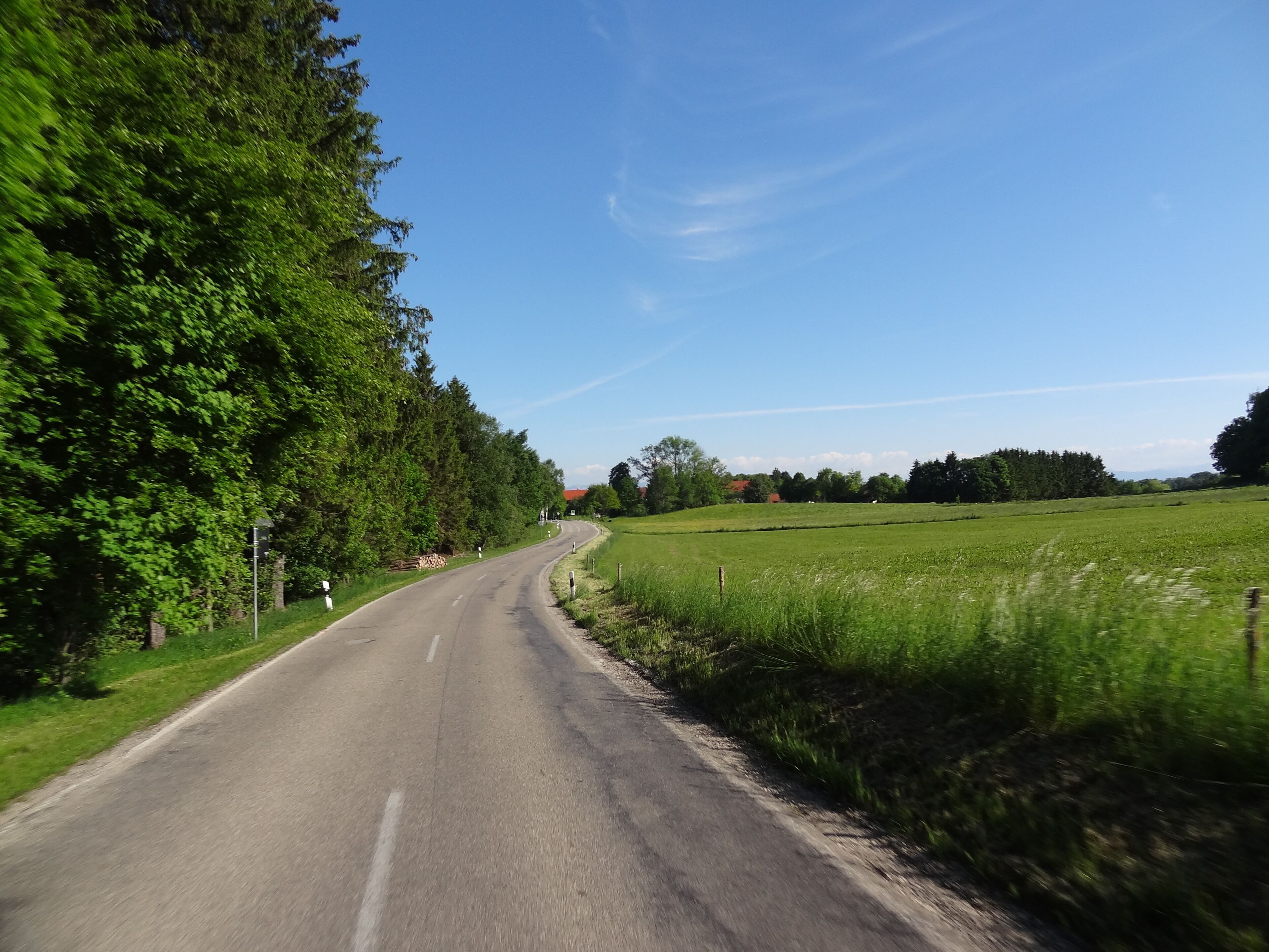 A rural road flanked by dense green trees and fields under a clear blue sky.