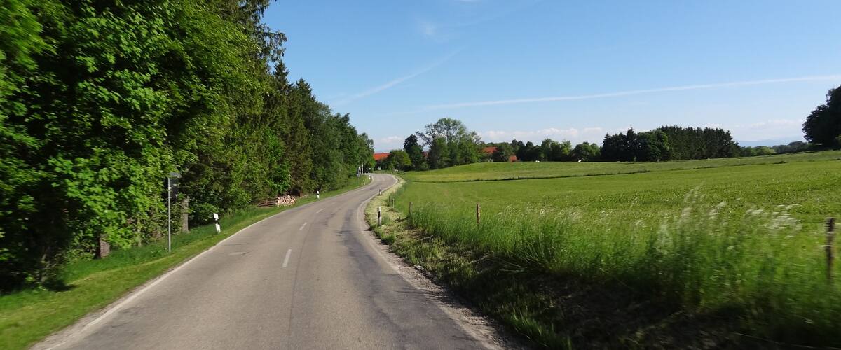 A rural road flanked by dense green trees and fields under a clear blue sky.