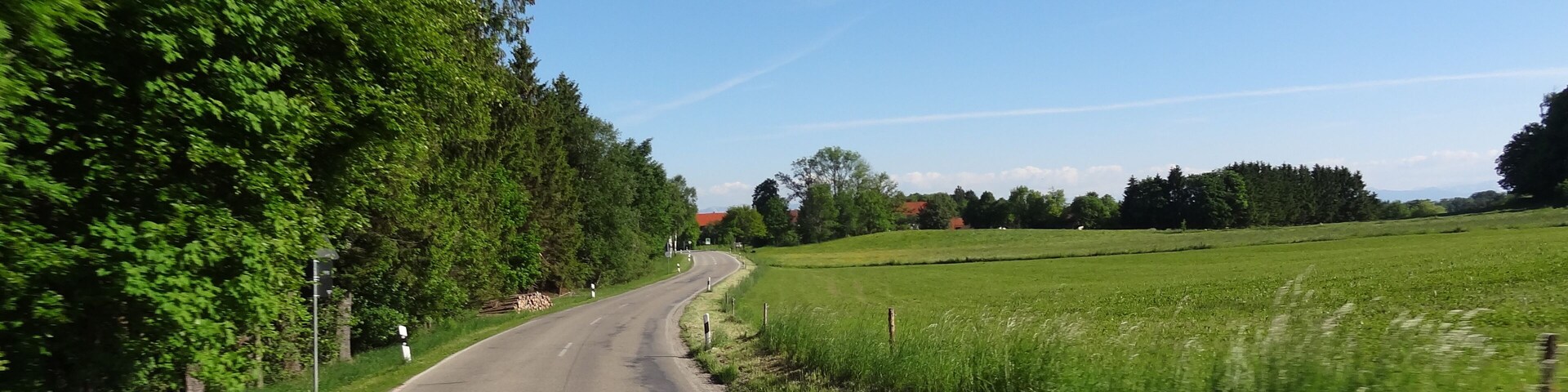 A rural road flanked by dense green trees and fields under a clear blue sky.