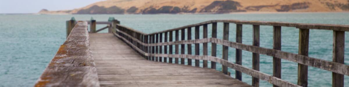 Omapere showing a bay or harbour