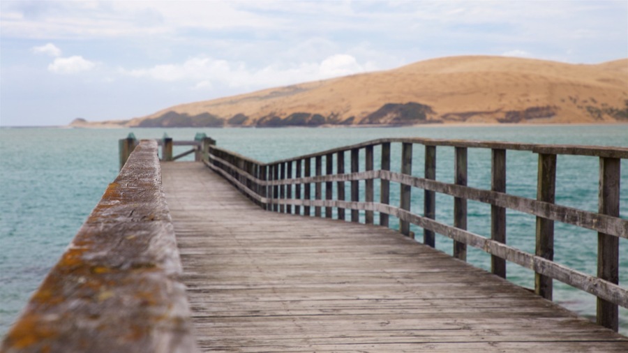 Omapere showing a bay or harbour