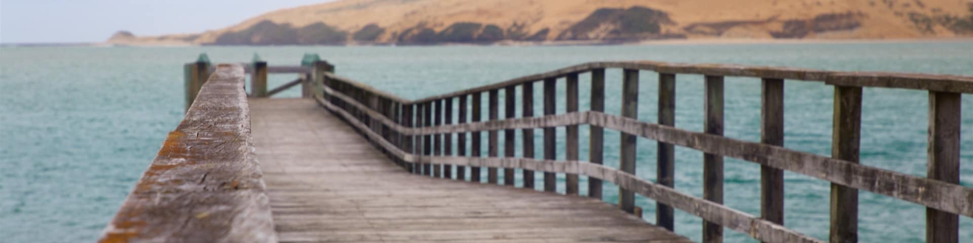 Omapere showing a bay or harbor