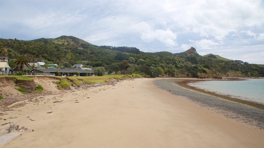 Una playa arenosa con colinas verdes exuberantes al fondo y un cielo despejado.