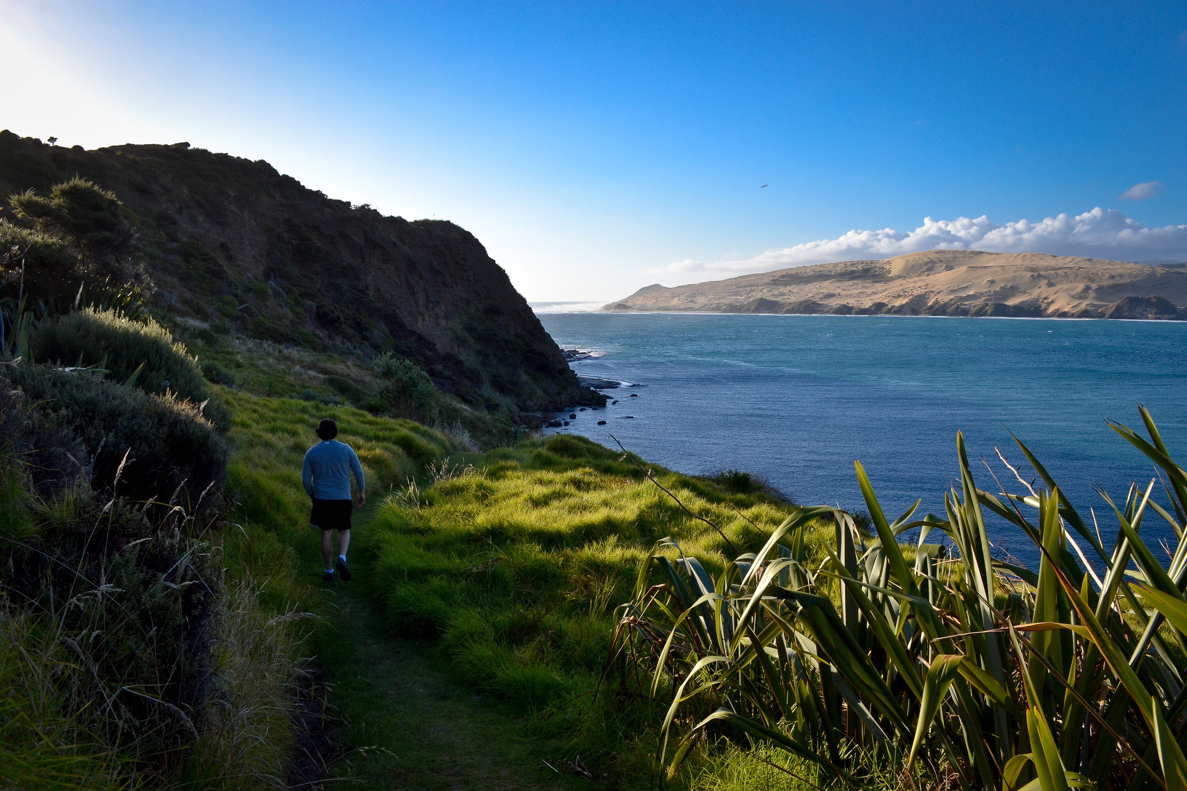 Man hiking in Omapere, New Zealand; Shutterstock ID 152836283; Purchase Order: -