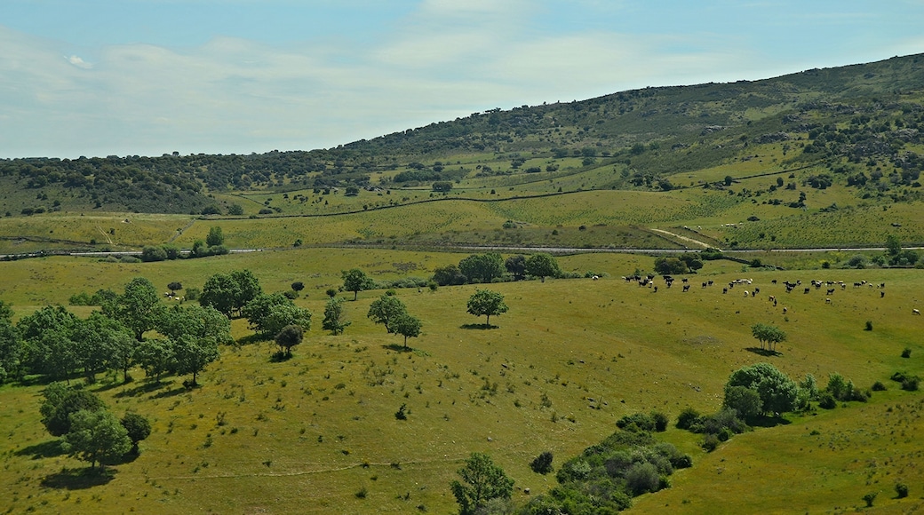 Comunidad de Madrid, España. Mayo de 2016.