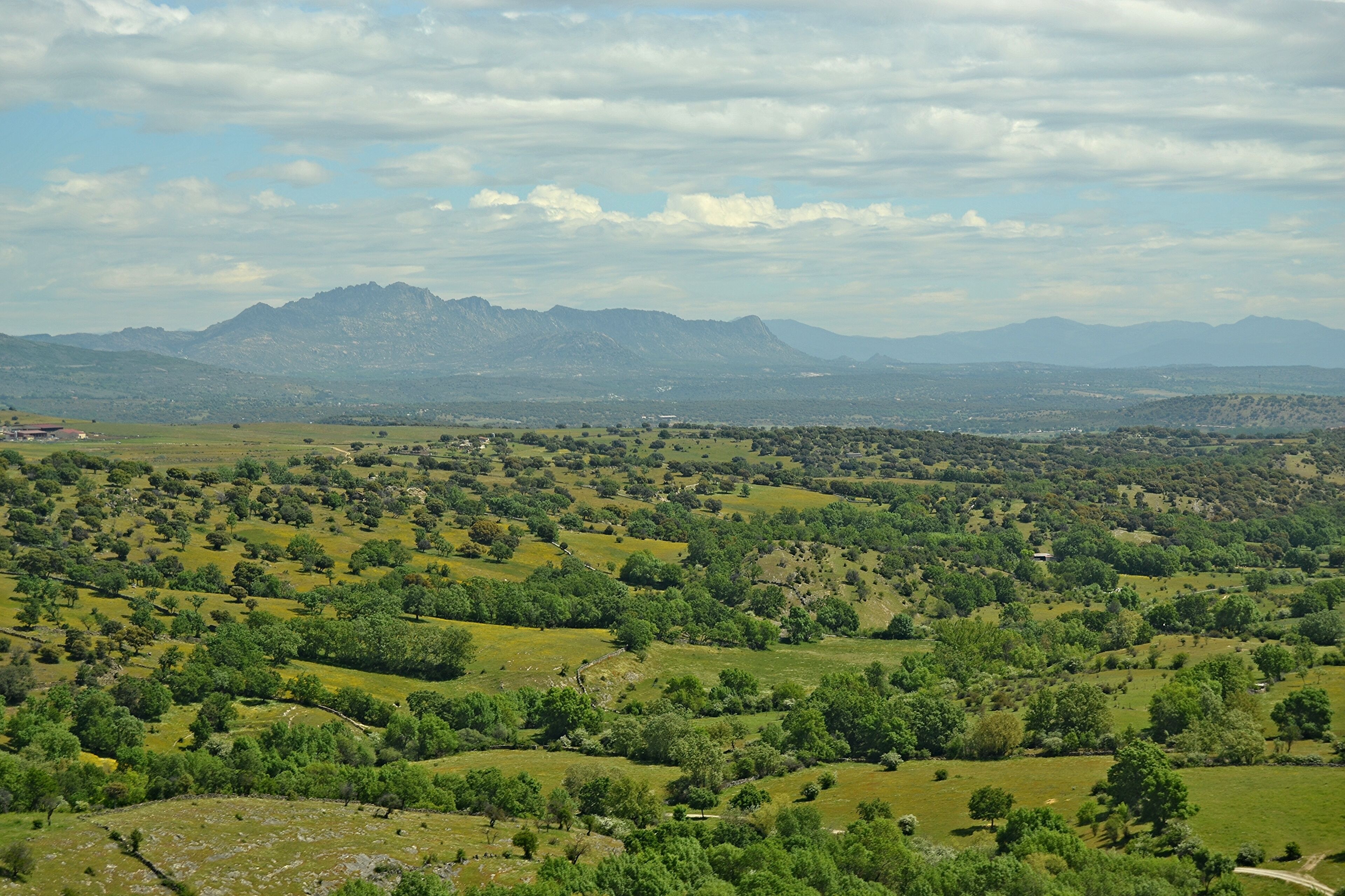 Sierra de la Cabrera desde el tren de Madrid a Segovia (Comunidad de Madrid, España). Mayo de 2016.