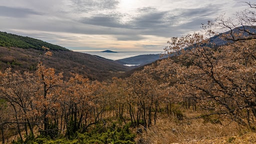 Miraflores de la Sierra
