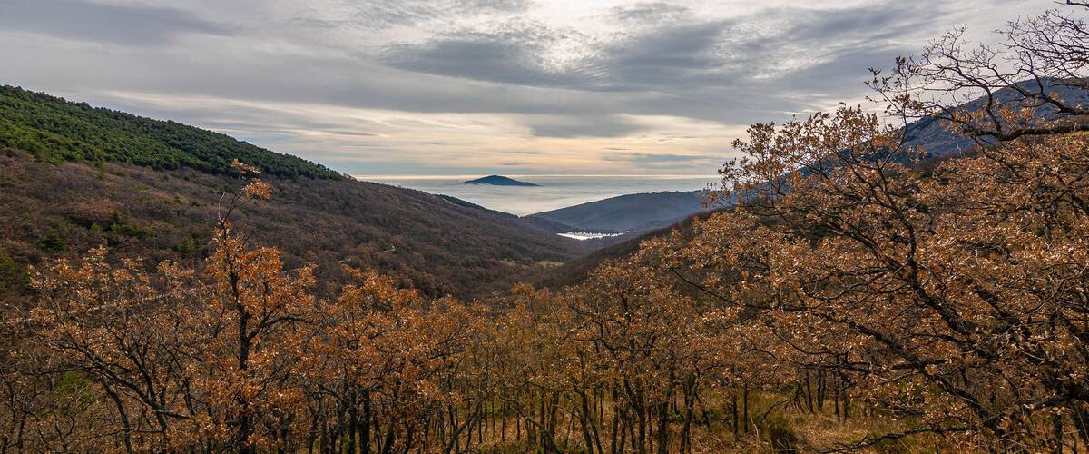 A valley with autumn-colored trees, a distant mountain range, and a cloudy sky.