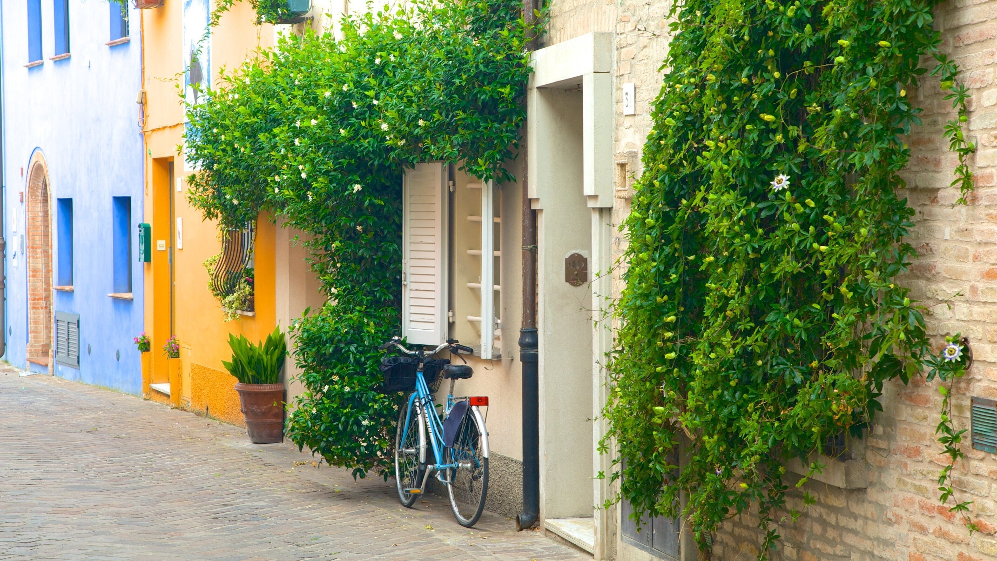 Rimini showing a house and street scenes