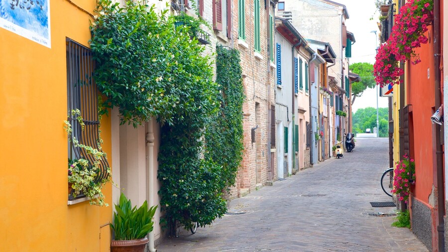 Province of Forlì-Cesena