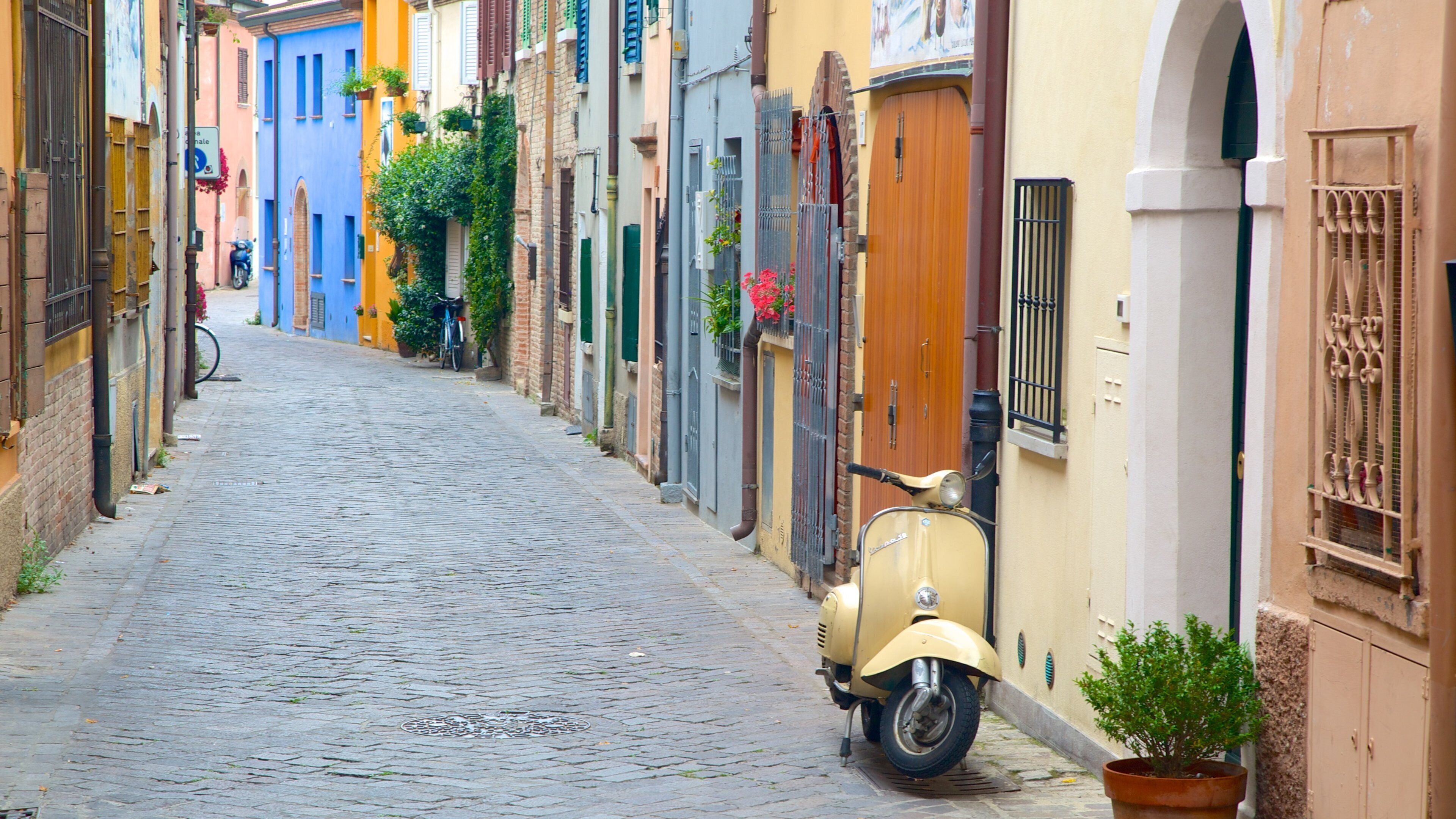 Rimini presenterar gatuliv