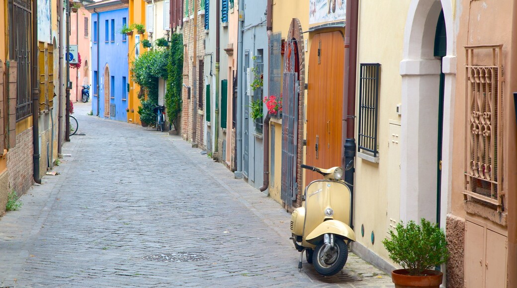 Rimini presenterar gatuliv