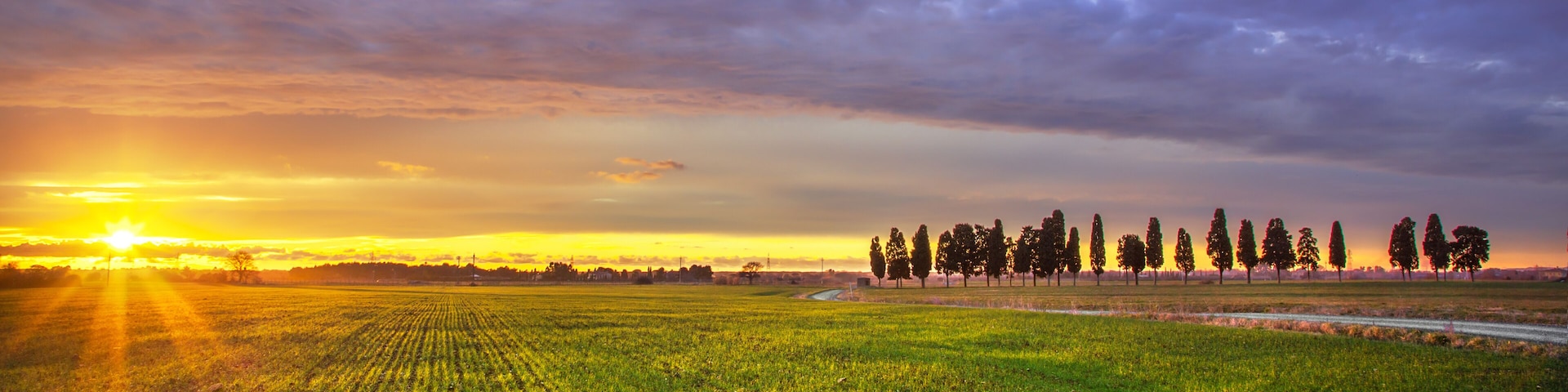 Sunset landscape in Maremma. Rural road and cypress trees. Tuscany, Italy
