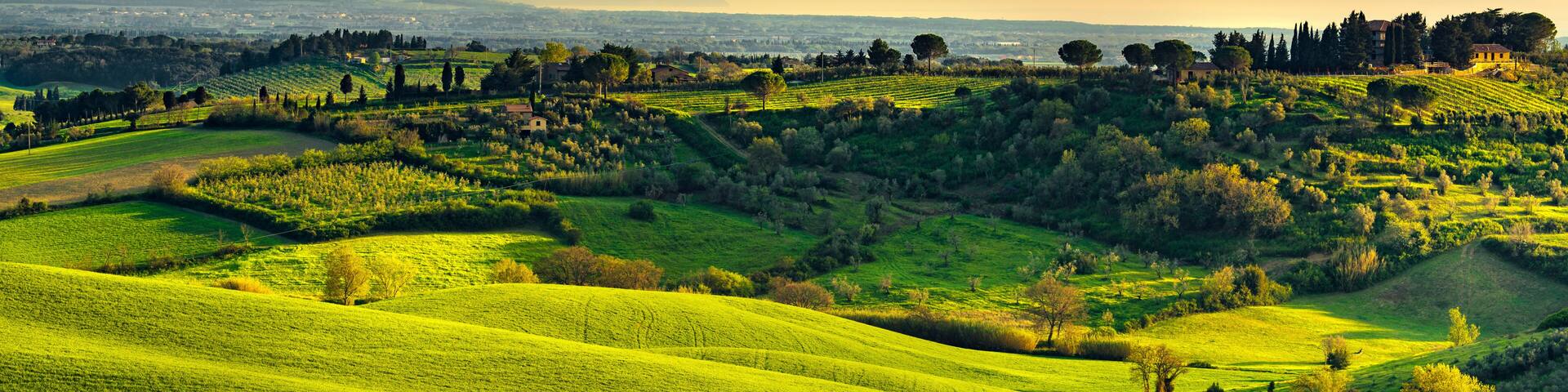 Rolling green hills, scattered trees, and distant mountains.