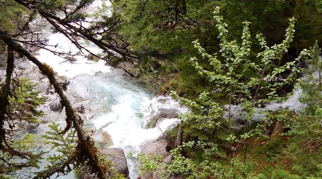 Located high above the spa town of Cauterets, France, the falls are most often reached by gondola. The bridge, or pont, of stone is at about 1500 mètres in the Pyrenees National Park. 42°51'03.2"N 0°08'31.3"W #waterfall #Europe #hiking #pyrenees #France