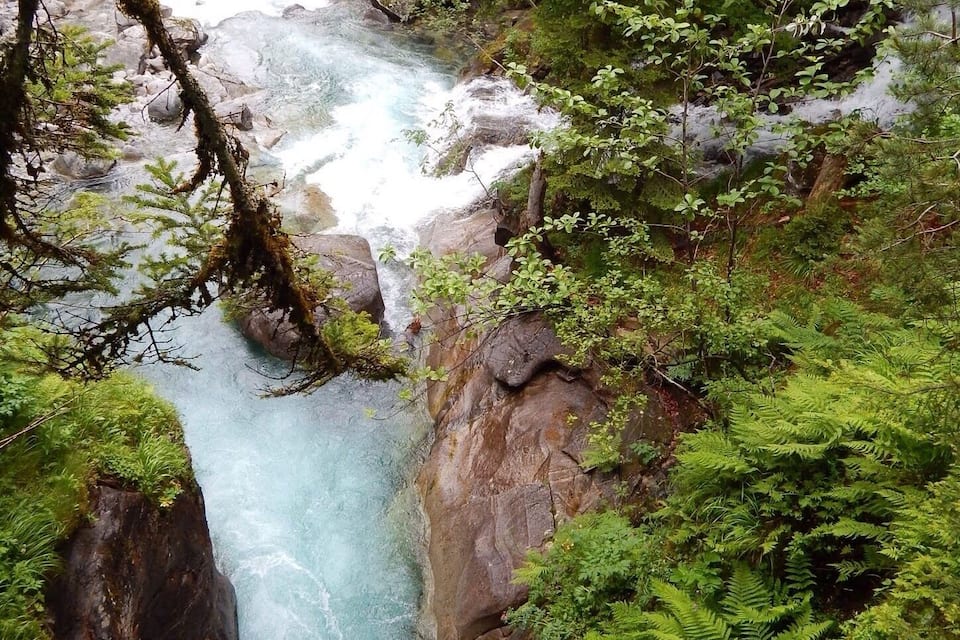 Ein Fluss fließt durch eine bewaldete Schlucht mit felsigem Gelände und üppiger Vegetation.