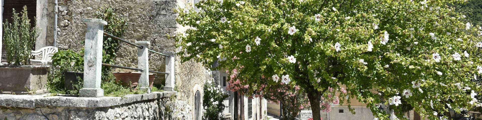 A narrow cobblestone street flanked by stone buildings, a tree with white flowers, and a mountain in the background.