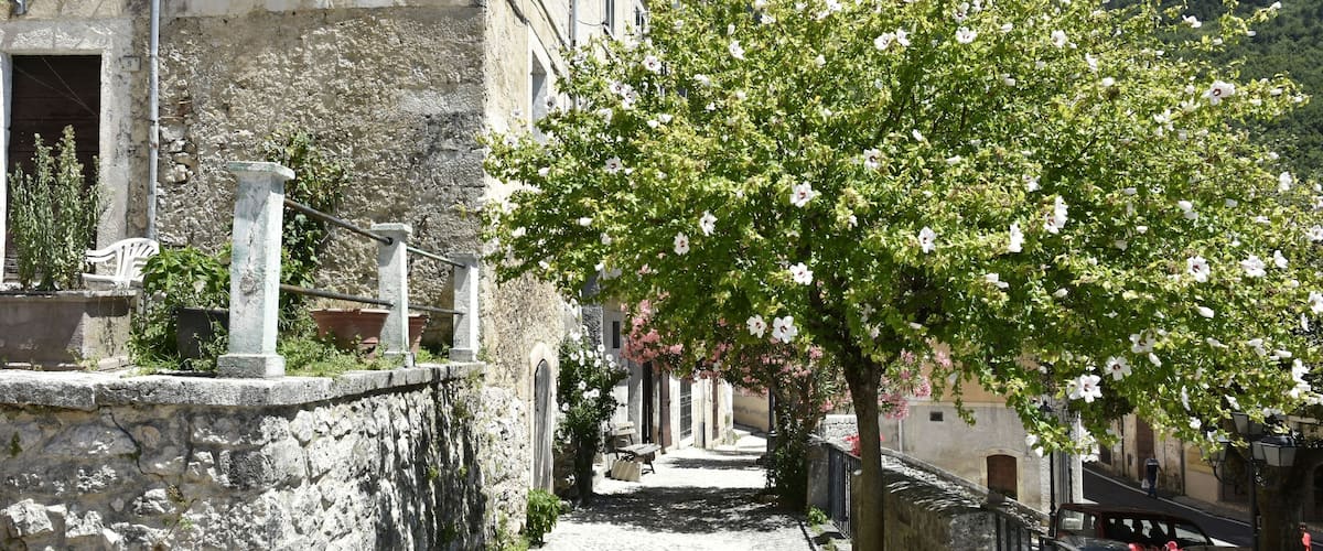 A narrow cobblestone street flanked by stone buildings, a tree with white flowers, and a mountain in the background.