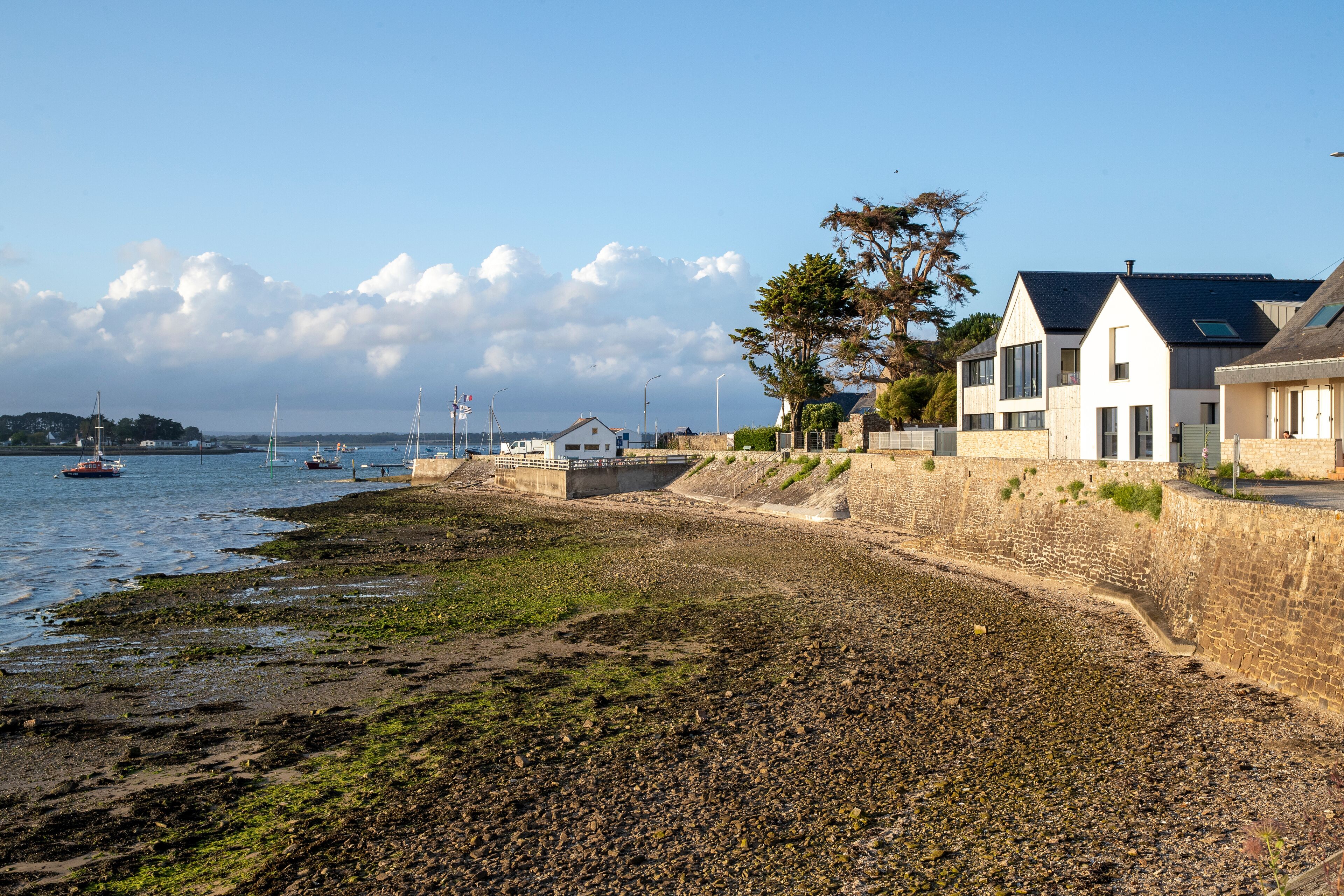 Paysage côtier à marée basse de la pointe de la Lenn sur la presqu'île de Pénerf, commune française de Damgan dans le Morbihan, au sud de la Bretagne, France, Europe.