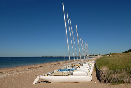 Une rangée de voiliers s’étend le long d’une plage de sable, avec l’océan en toile de fond.