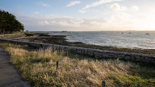 Paysage côtier à marée basse de la pointe de la Lenn sur la presqu'île de Pénerf, commune française de Damgan dans le Morbihan, au sud de la Bretagne, France, Europe.