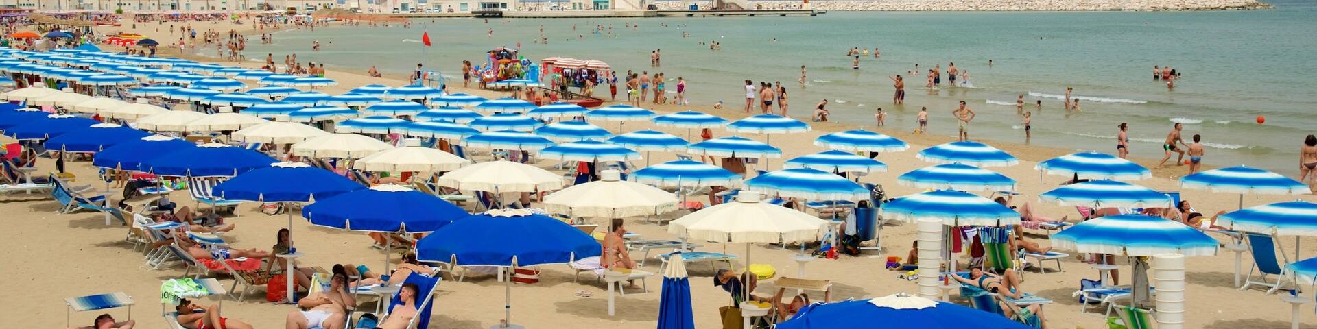 Rodi Garganico featuring general coastal views and a sandy beach as well as a large group of people
