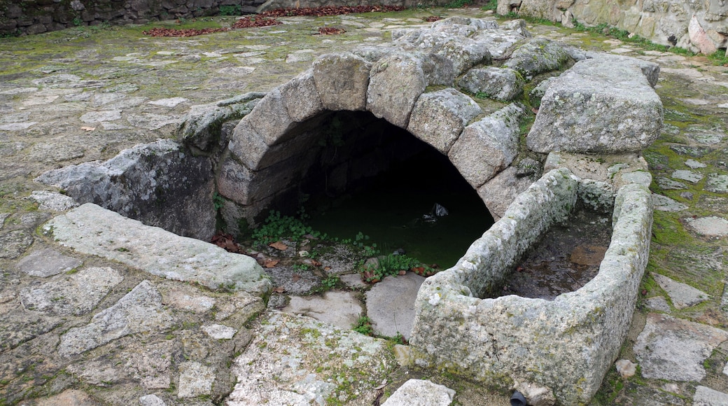 Ancient roman fountain with antropomorphic burial as abreuvoir in Leomil (Guarda, Portugal).