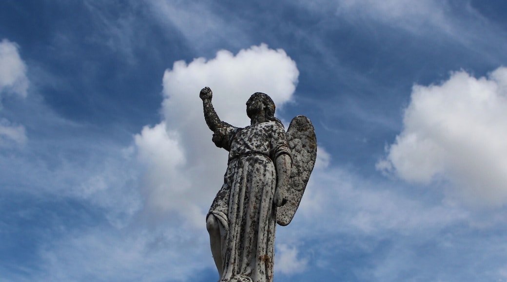 Anjo do cemitério de Almeida.