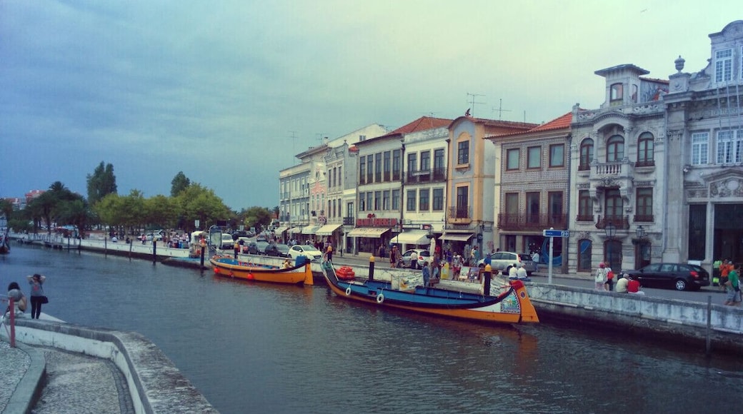 #gondola #aveiro #blue