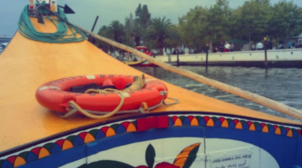 #gondola #aveiro #blue