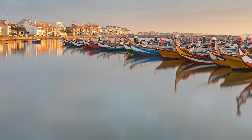 Torreira Marina on the Aveiro Lagoon in Portugal