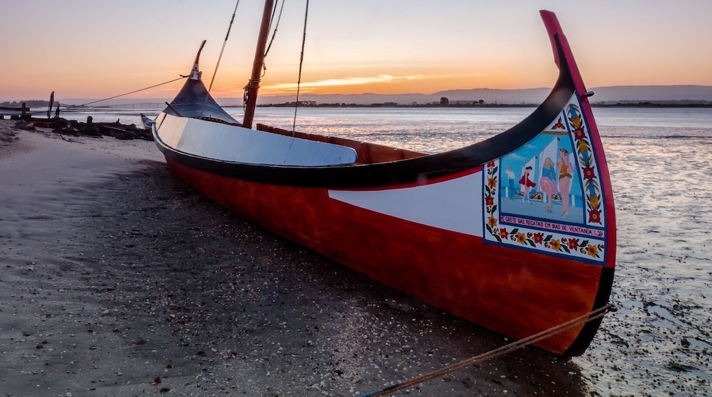 Typical Portuguese boats called “moliceiros” at sunrise.