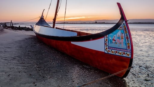 Typical Portuguese boats called “moliceiros” at sunrise.