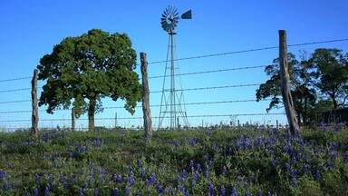 Waller Texas Windmill