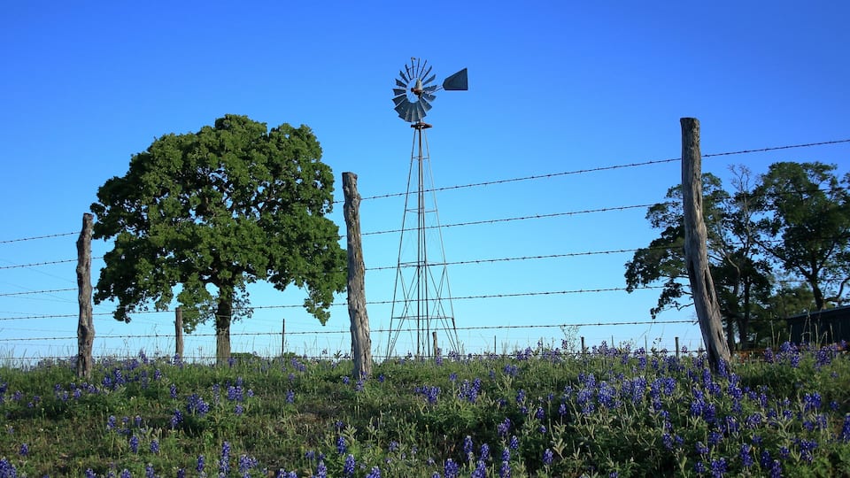 A windmill, barbed wire fence, and trees in a field.