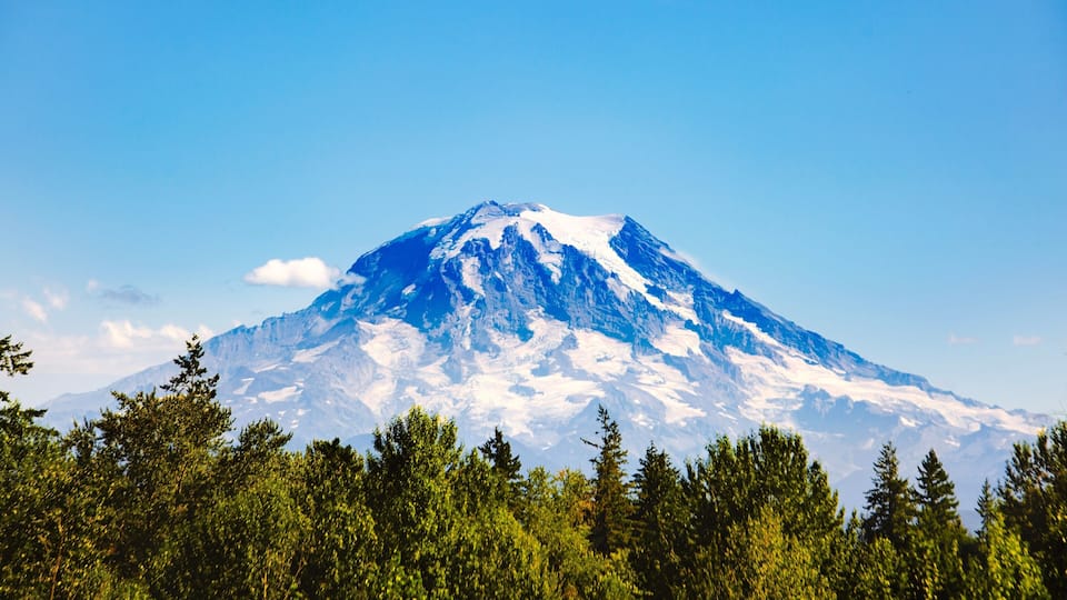 A snow-capped mountain with a clear sky and dense forest in the foreground.