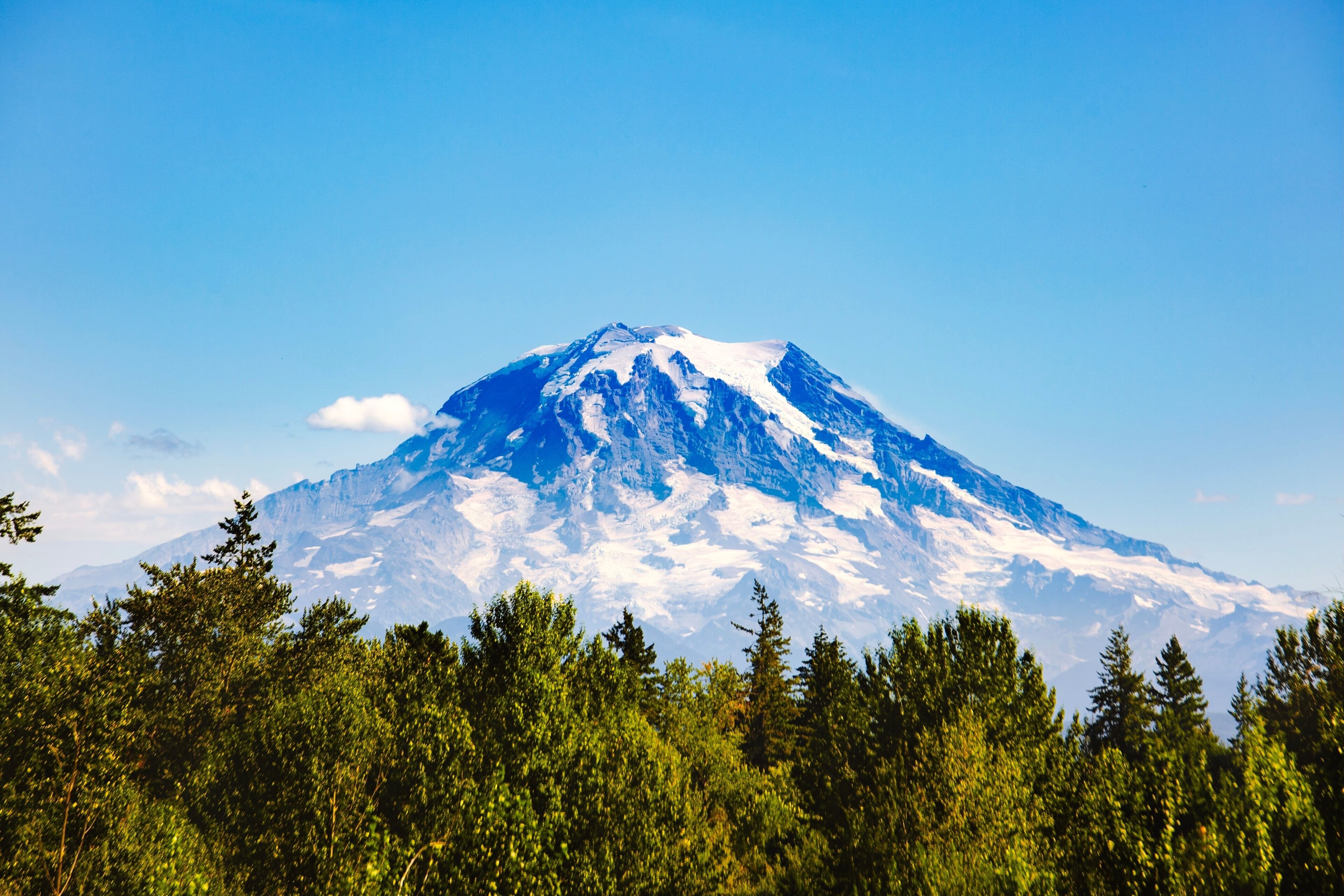 A snow-capped mountain with a clear sky and dense forest in the foreground.